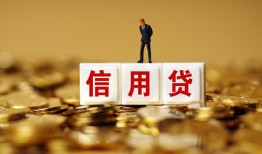 东莞短借哪里可以民间借贷-东莞短借私人借钱当天拿钱-东莞短借贷款联系电话